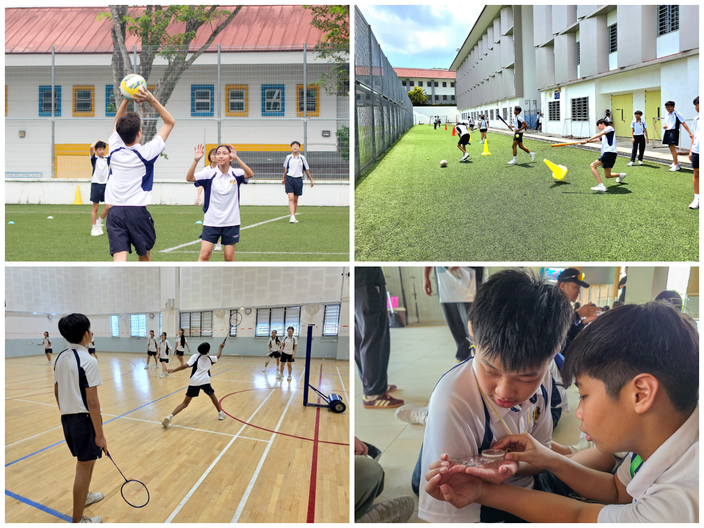 Four photos: students play ball outside, do drills on turf, play badminton indoors, and examine a small item.